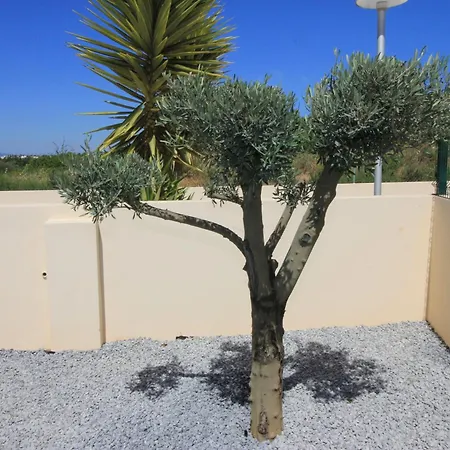 Marques Da Luz Holiday home *